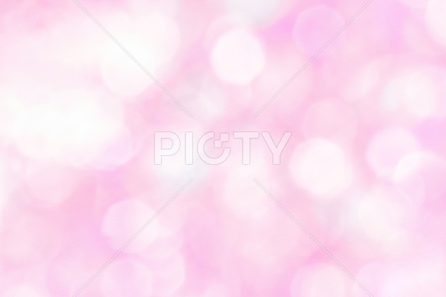 写真のタイトルが入ります