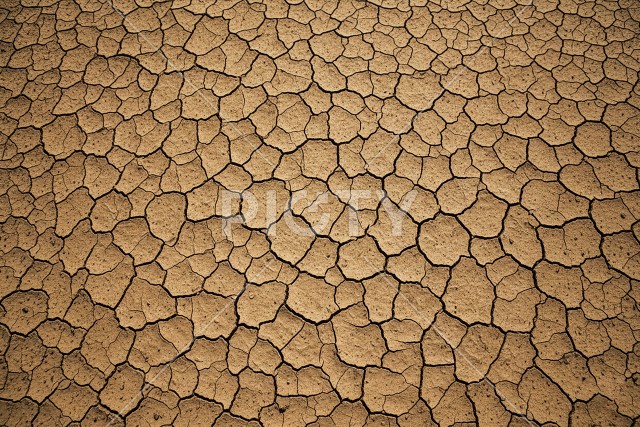 写真のタイトルが入ります