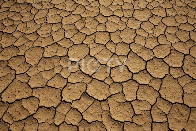 写真のタイトルが入ります