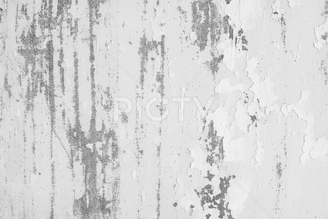 写真のタイトルが入ります