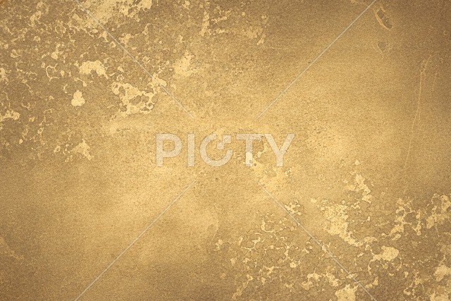 写真のタイトルが入ります