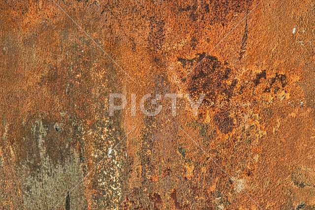 写真のタイトルが入ります