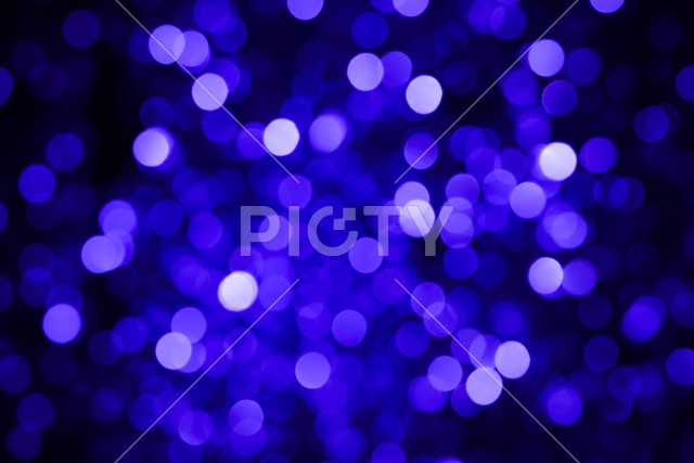 写真のタイトルが入ります