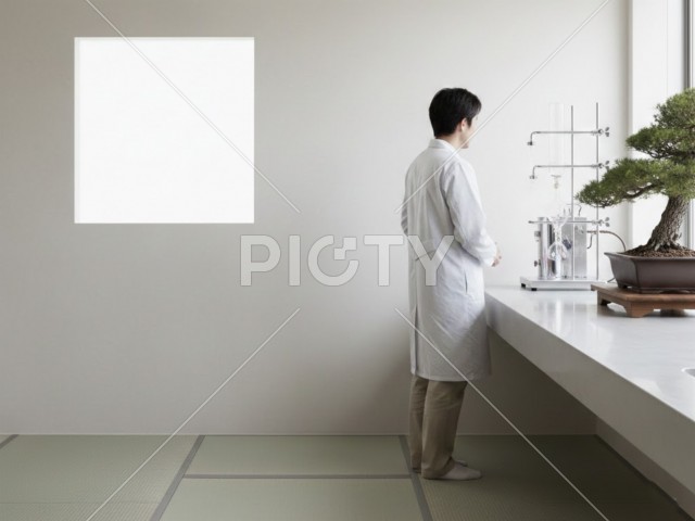 写真のタイトルが入ります