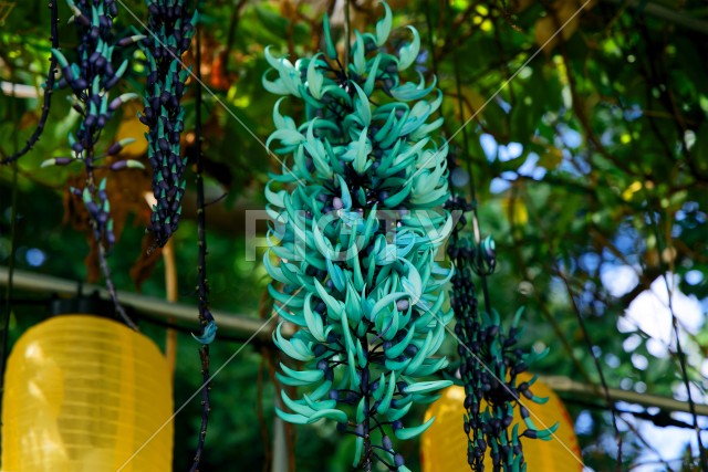 写真のタイトルが入ります