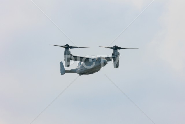 写真のタイトルが入ります