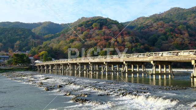 秋の渡月橋