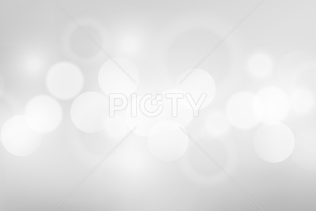 写真のタイトルが入ります