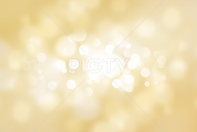 写真のタイトルが入ります