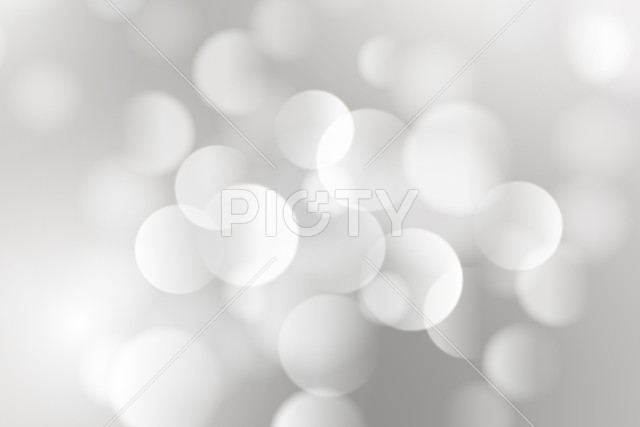 写真のタイトルが入ります