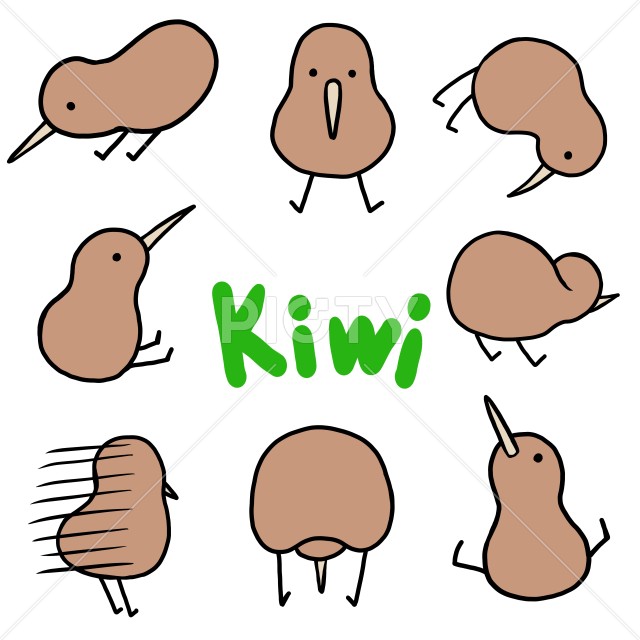 写真のタイトルが入ります