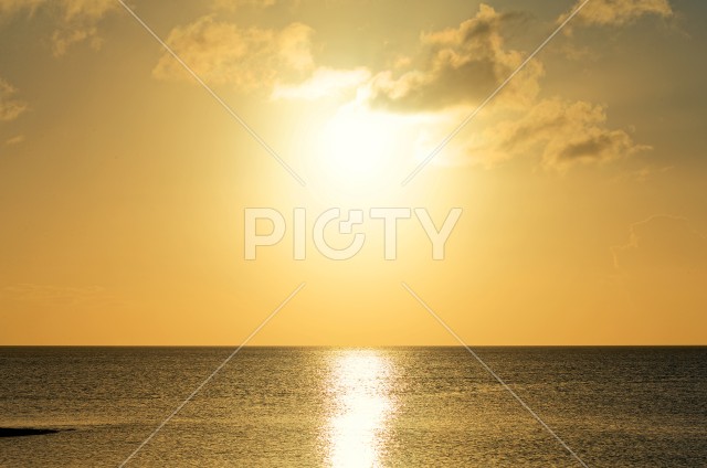 写真のタイトルが入ります