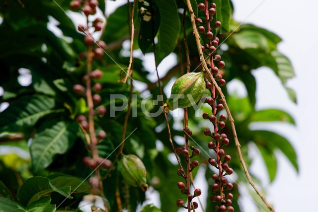 写真のタイトルが入ります