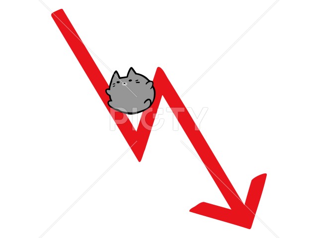 写真のタイトルが入ります