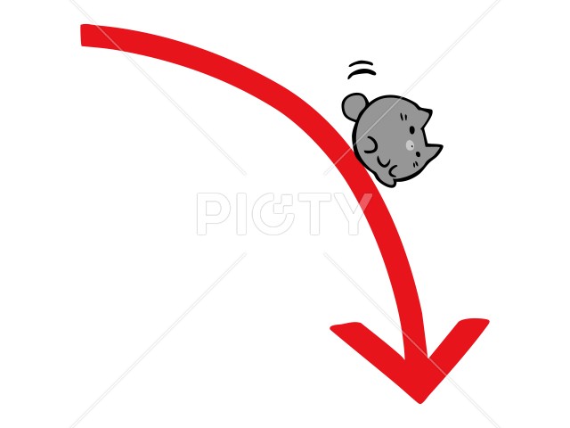 写真のタイトルが入ります