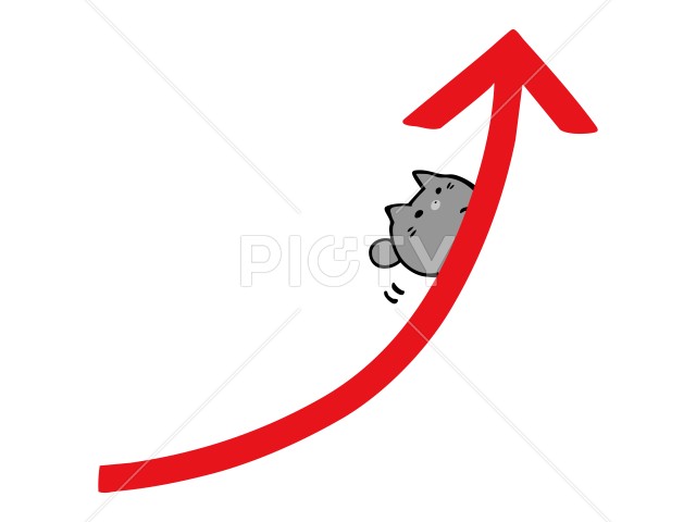 写真のタイトルが入ります