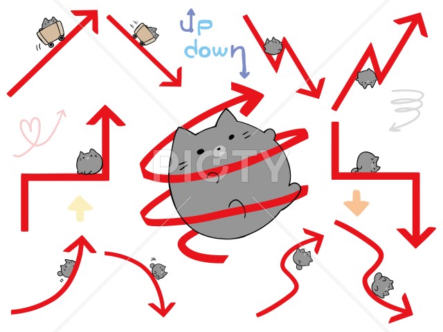 写真のタイトルが入ります