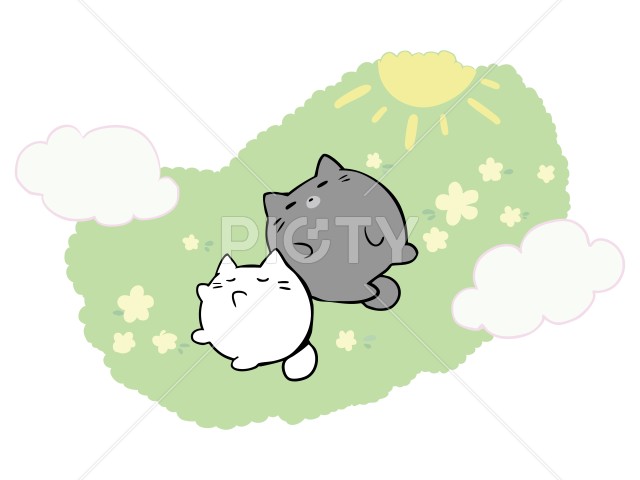 写真のタイトルが入ります