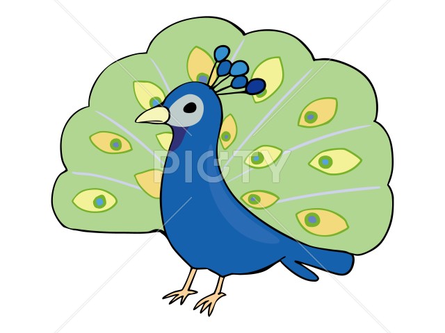 写真のタイトルが入ります