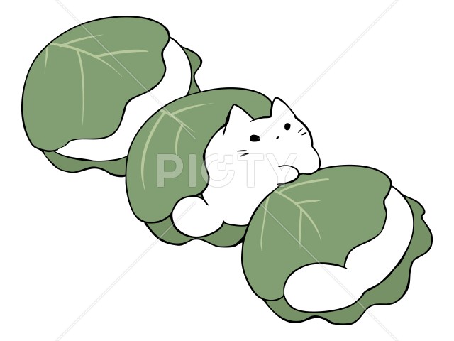 写真のタイトルが入ります