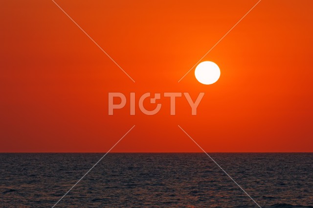 写真のタイトルが入ります