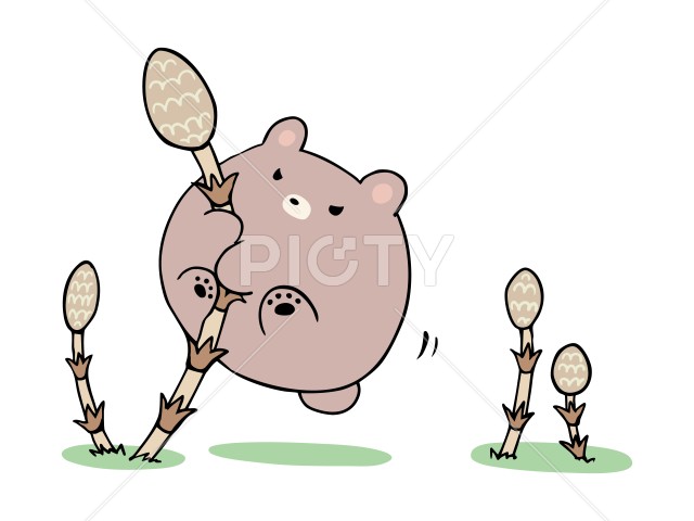 写真のタイトルが入ります