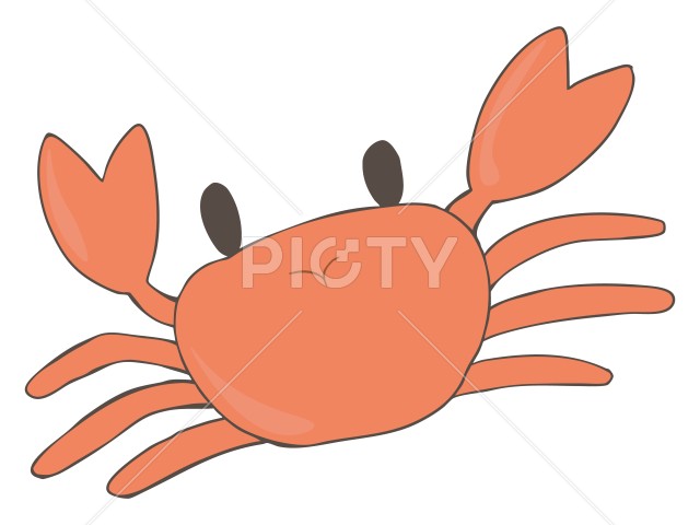 まるっこい カニ