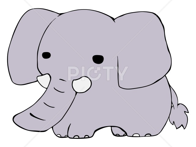 写真のタイトルが入ります