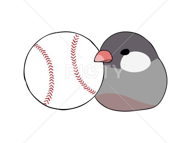 写真のタイトルが入ります