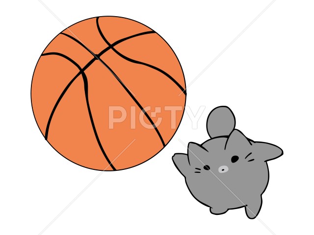 写真のタイトルが入ります