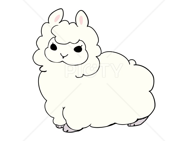 写真のタイトルが入ります