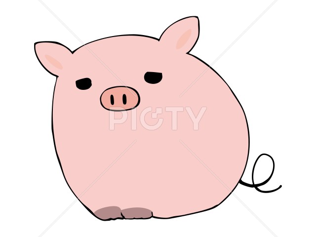 写真のタイトルが入ります