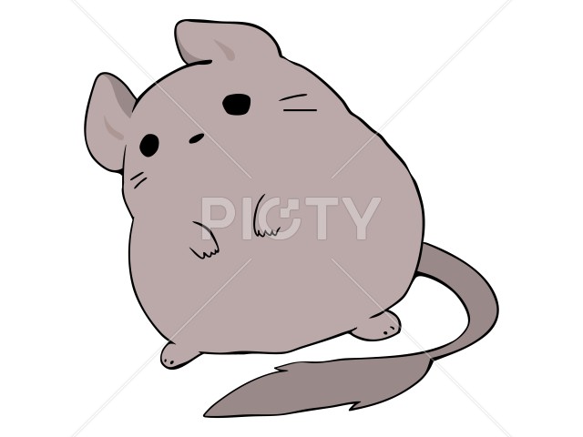 写真のタイトルが入ります