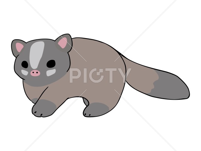 写真のタイトルが入ります