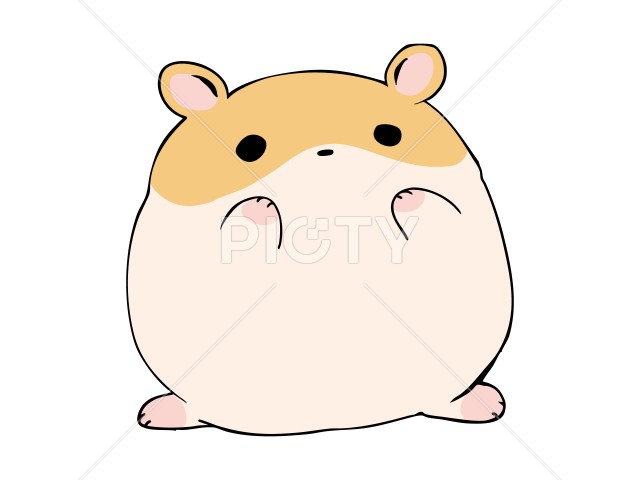 写真のタイトルが入ります