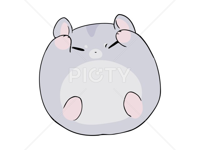 まるっこい ジャンガリアンハムスター