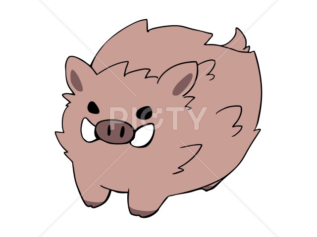 写真のタイトルが入ります