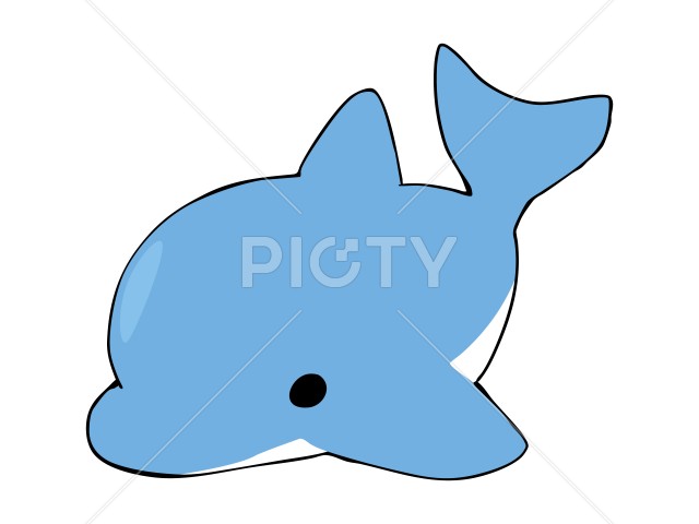 写真のタイトルが入ります