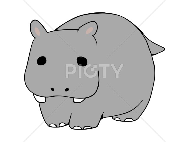 写真のタイトルが入ります