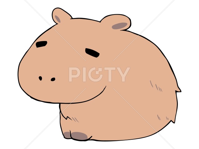 まるっこい カピバラ