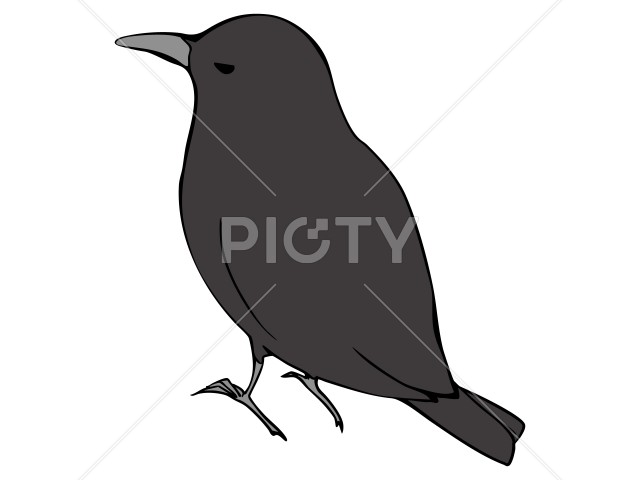 写真のタイトルが入ります