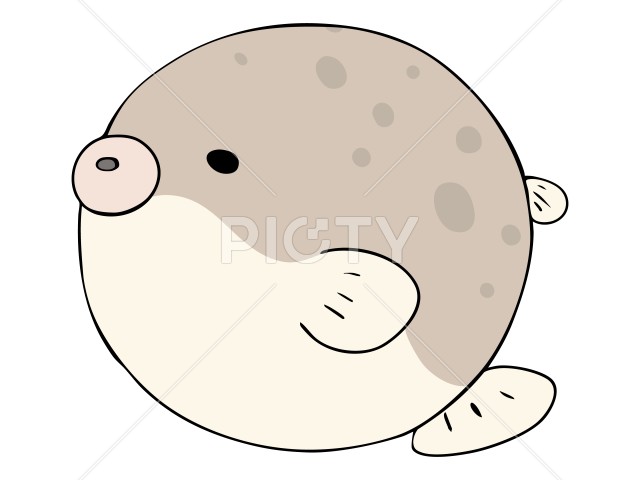 写真のタイトルが入ります