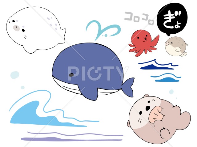 写真のタイトルが入ります