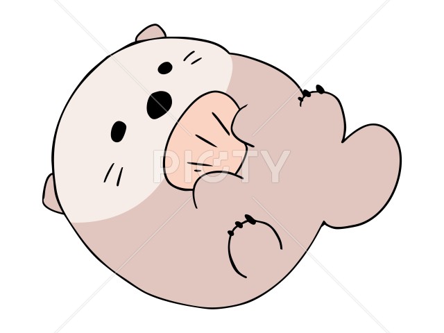 写真のタイトルが入ります