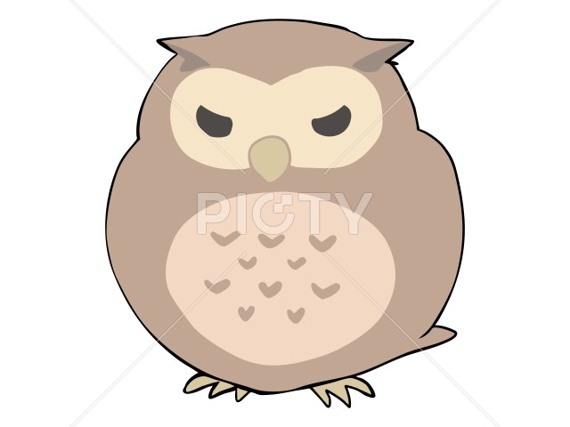 写真のタイトルが入ります