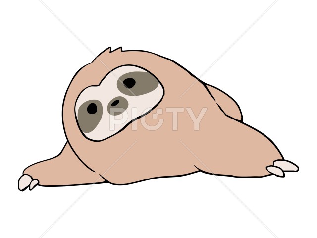 写真のタイトルが入ります