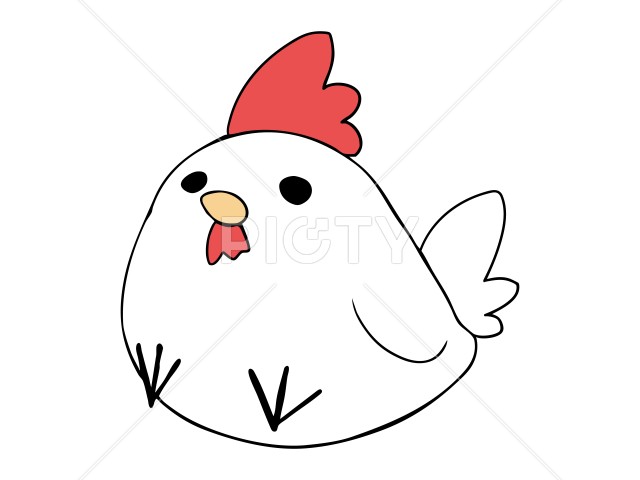 写真のタイトルが入ります