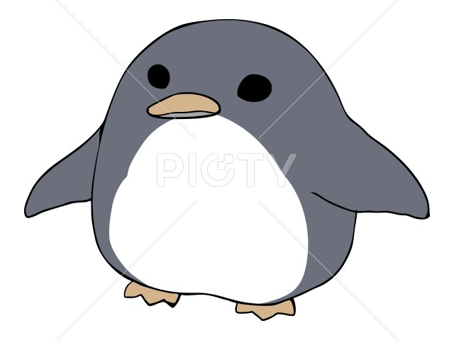 写真のタイトルが入ります