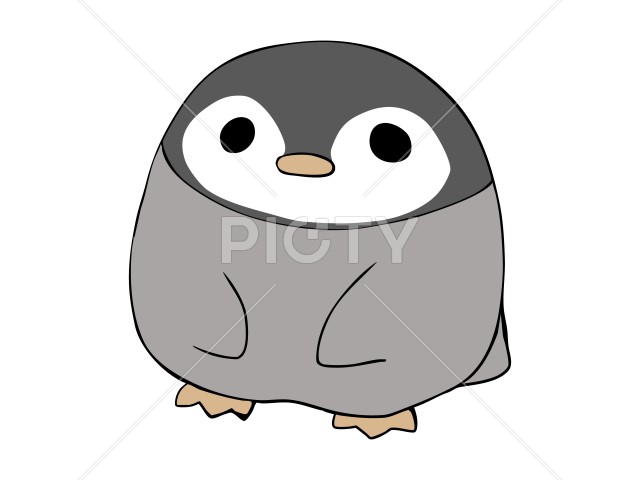 写真のタイトルが入ります