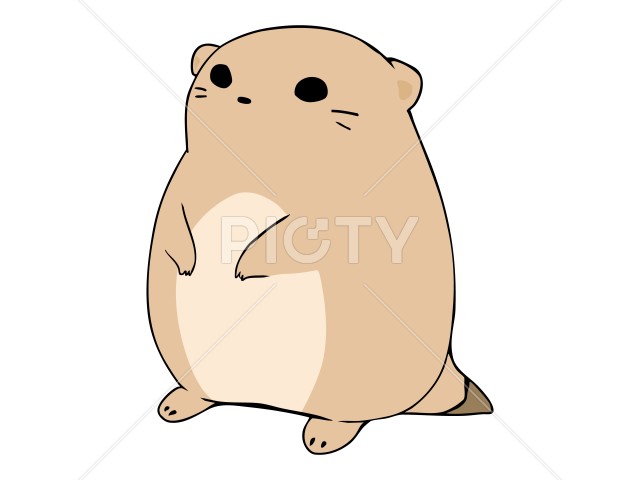 写真のタイトルが入ります